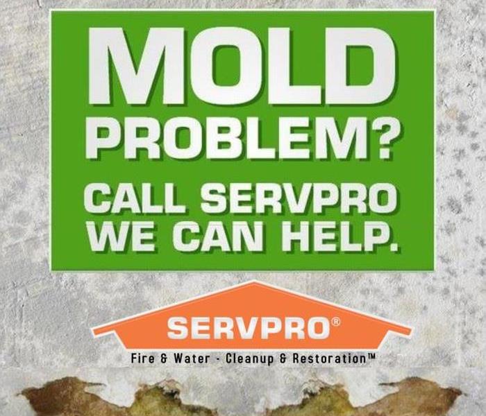 Mold Problem? Call (770) 858-5000 for help.